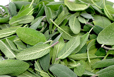 Sage closer view