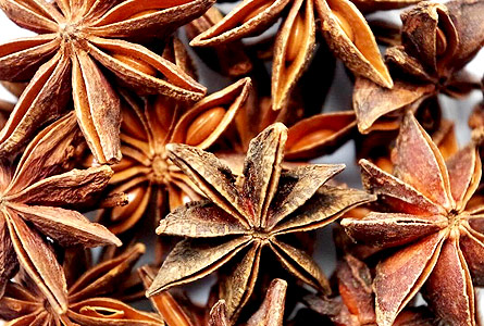 Star Anise Closer View