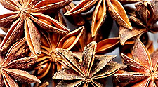 Star Anise