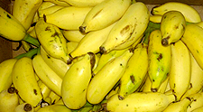 Elakki Banana