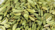 Fennel Seeds