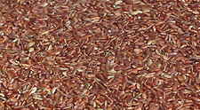 Red Rice