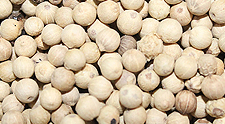 White Pepper